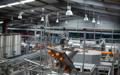 Calidad Industrial: Principios, Herramientas y Prácticas