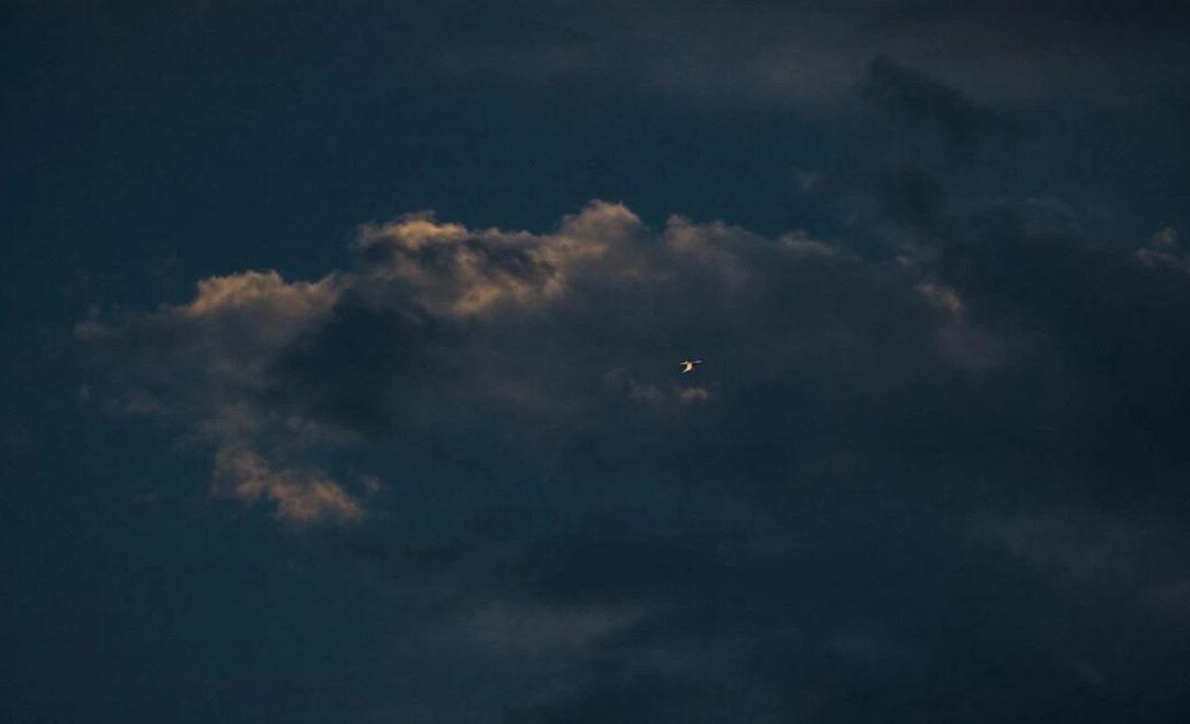 Comprendre l&rsquo;OEE et ses pièges pour optimiser vos performances industrielles