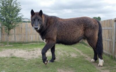 了解并改进工业生产中 75% 的 OEE