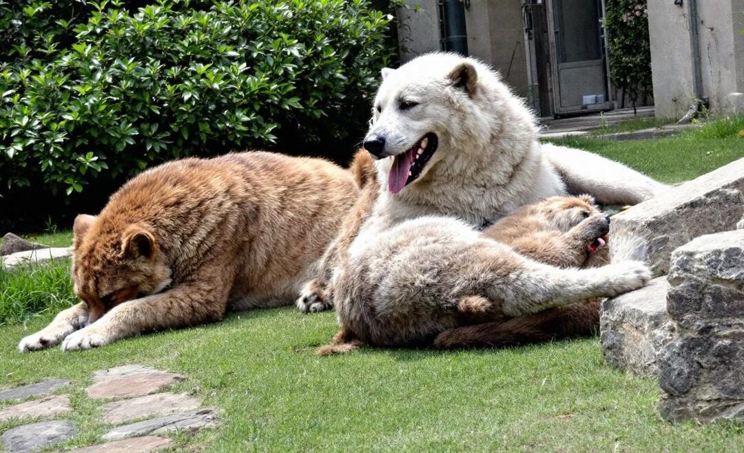 Guide pour optimiser l&rsquo;OEE par la formule machine