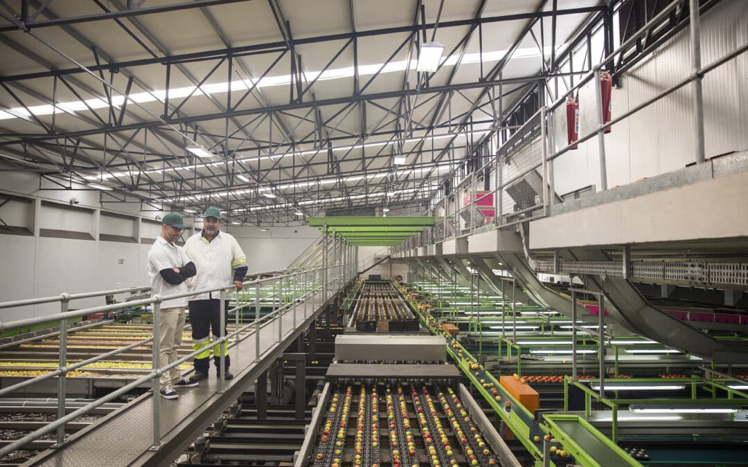 OEE en la producción bajo pedido frente a la producción contra stock: guía de estrategias de optimización